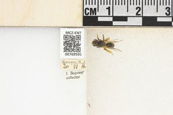 Media type: image;   Entomology 769591 Aspect: Labels